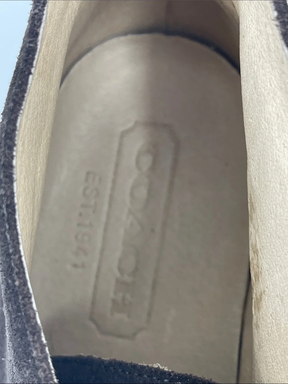 Coach ANTHONY Men's Dark Brown Suede Chukka Boots with Olive Laces SIZE 10 M